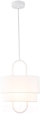 Потолочный светильник Indigo Light Borsa V000437 - фото