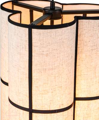 Люстра Indigo Light Triade V000350