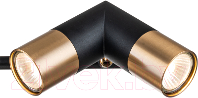 Люстра Indigo Light Doppio V000452