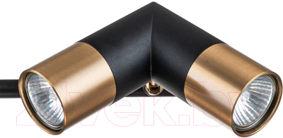 Люстра Indigo Light Doppio V000452