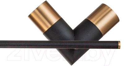 Люстра Indigo Light Doppio V000453