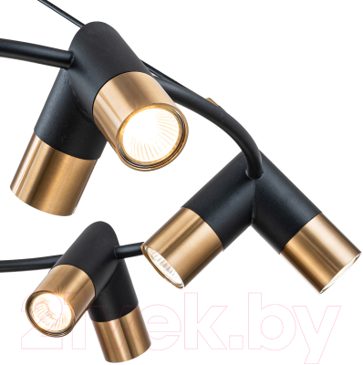 Люстра Indigo Light Doppio V000455