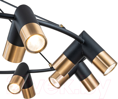 Люстра Indigo Light Doppio V000456