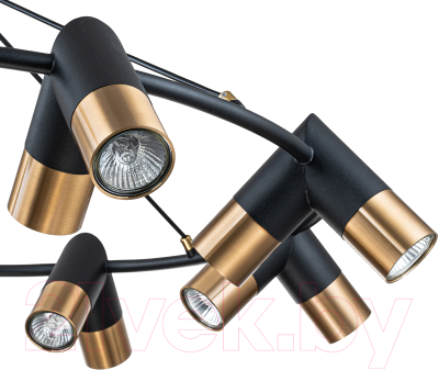 Люстра Indigo Light Doppio V000456