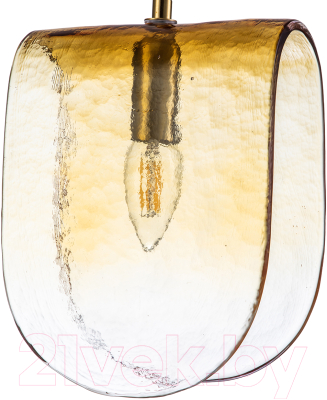 Потолочный светильник Indigo Light Manto V000373