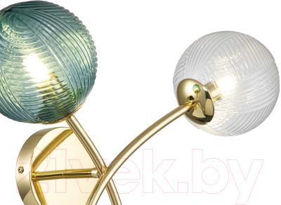 Бра Indigo Light Selva V000299