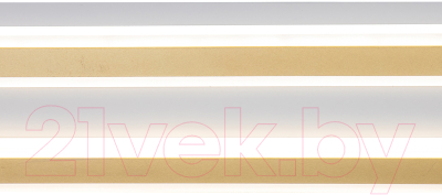 Потолочный светильник Indigo Light Arena V000055L