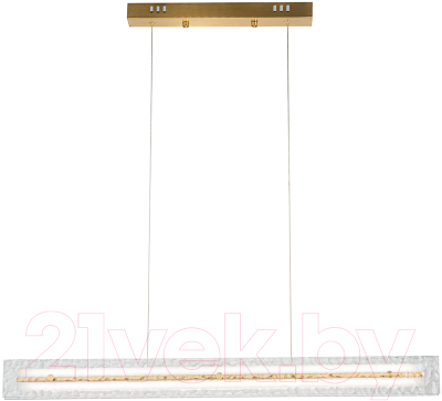 Потолочный светильник Indigo Light Dualita V000088L - фото