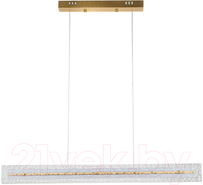 Потолочный светильник Indigo Light Dualita V000088L