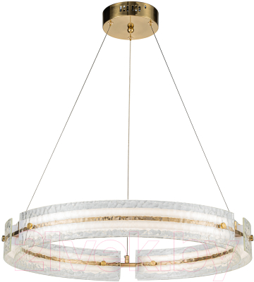 Потолочный светильник Indigo Light Dualita V000089L - фото