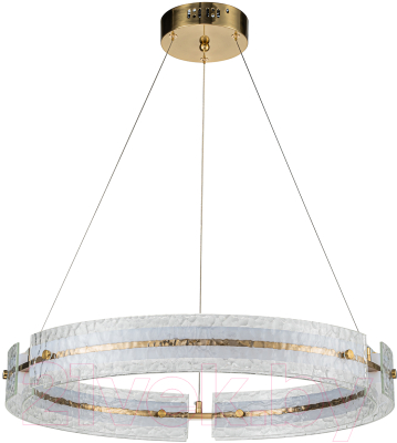 Потолочный светильник Indigo Light Dualita V000089L