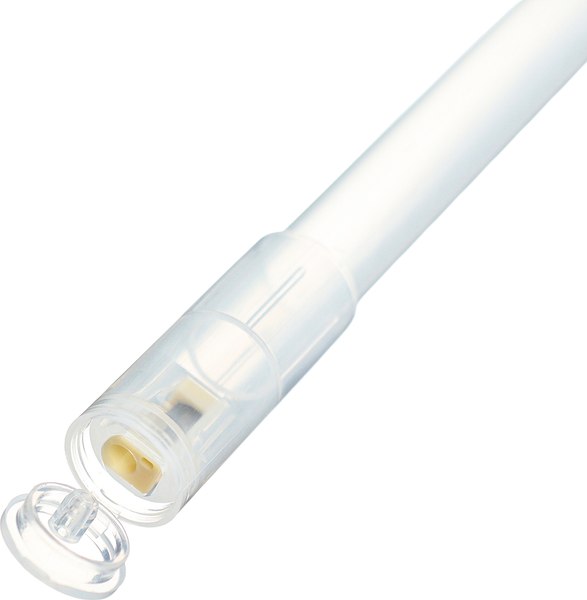 Набор цветных карандашей Erich Krause Safari + точилка / 61819