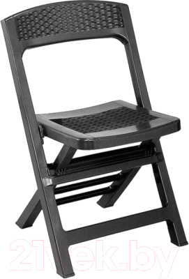 Стул складной GreenDeco С имитацией ротанга Asso / ASO88CAN - фото