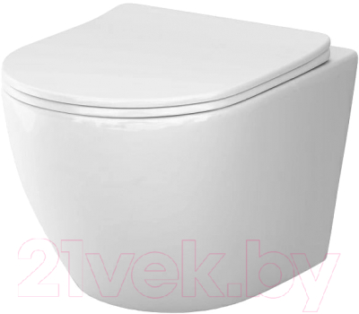 Унитаз подвесной AM.PM Like AquaSpin C801900SC - фото