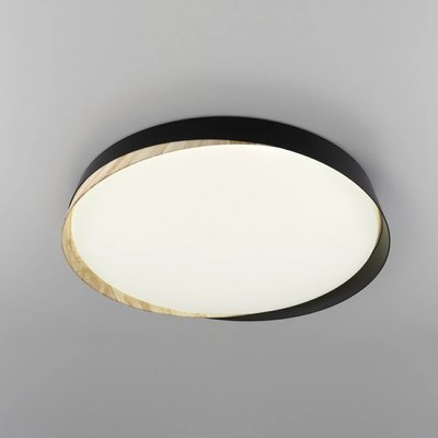 Потолочный светильник Citilux Bonny CL754451G