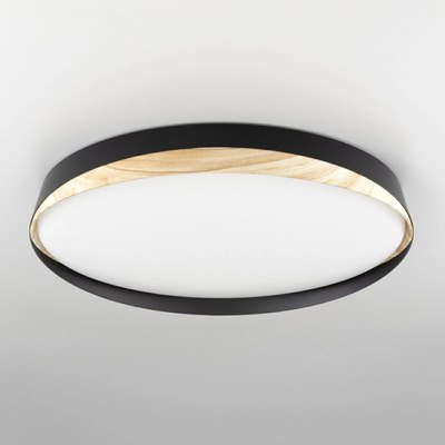 Потолочный светильник Citilux Bonny CL754451G