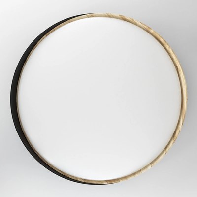 Потолочный светильник Citilux Bonny CL754451G