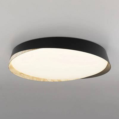 Потолочный светильник Citilux Bonny CL754451G