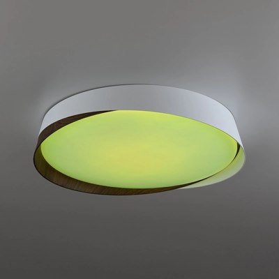 Потолочный светильник Citilux Bonny CL754350G