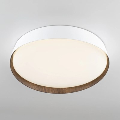 Потолочный светильник Citilux Bonny CL754350G