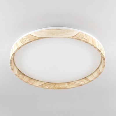 Потолочный светильник Citilux Enzo CL753452G - фото