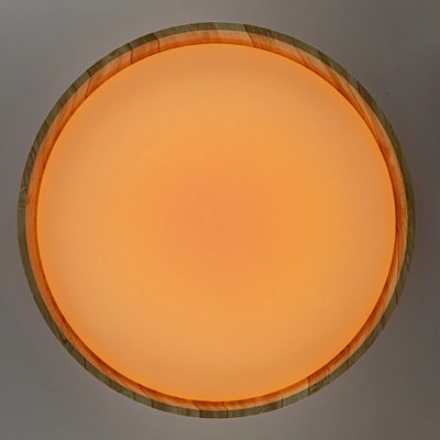 Потолочный светильник Citilux Enzo CL753452G