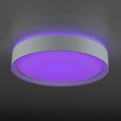 Потолочный светильник Citilux Boss CL751250G