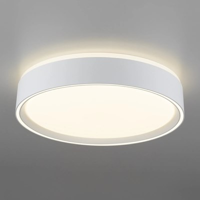 Потолочный светильник Citilux Boss CL751250G