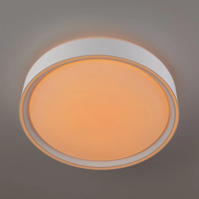 Потолочный светильник Citilux Boss CL751250G