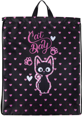 Мешок для обуви Brauberg Kids. Amazed cat / 271629