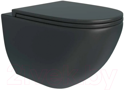 Унитаз подвесной Teymi Lina S / T40111 - фото