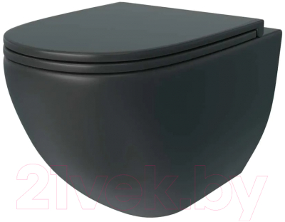 Унитаз подвесной Teymi Lina S / T40111