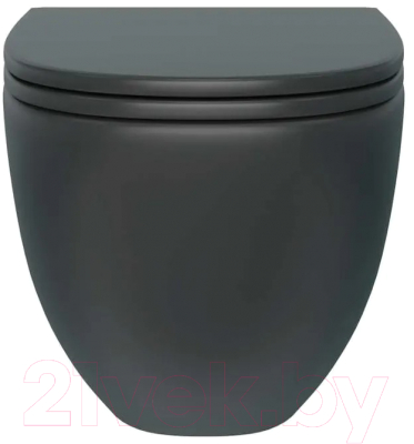 Унитаз подвесной Teymi Lina S / T40111