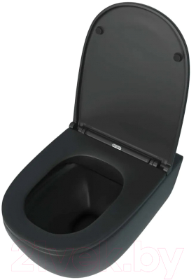 Унитаз подвесной Teymi Lina S / T40111