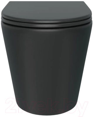 Унитаз подвесной Teymi Solli / T40201MB