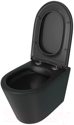 Унитаз подвесной Teymi Solli / T40201MB