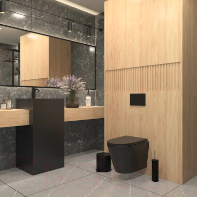 Унитаз подвесной Teymi Solli / T40201MB