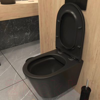 Унитаз подвесной Teymi Solli / T40201MB