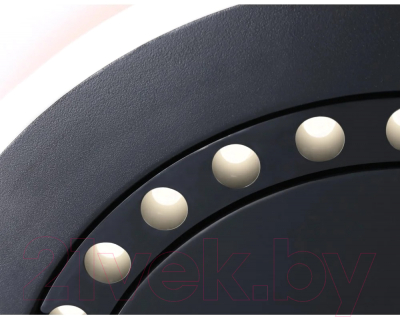 Потолочный светильник Ambrella Comfort FL51407 BK