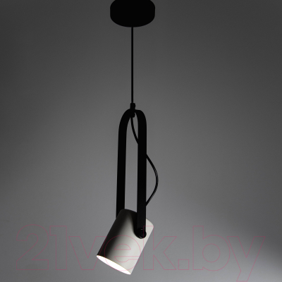 Потолочный светильник Элетех Гамма 211 НСБ 01-60-193 / 1005405347