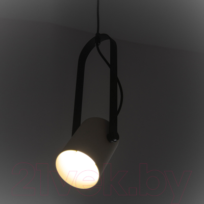 Потолочный светильник Элетех Гамма 211 НСБ 01-60-193 / 1005405347