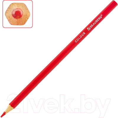 Набор цветных карандашей Brauberg Академия / 181865