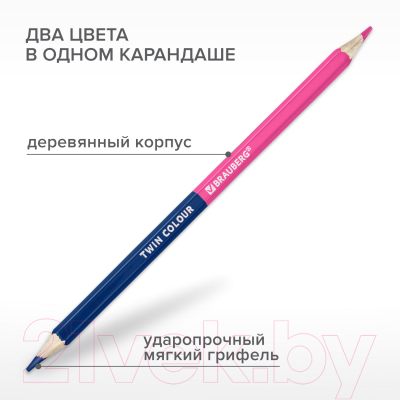 Набор цветных карандашей Brauberg Premium Twin Colour / 181875