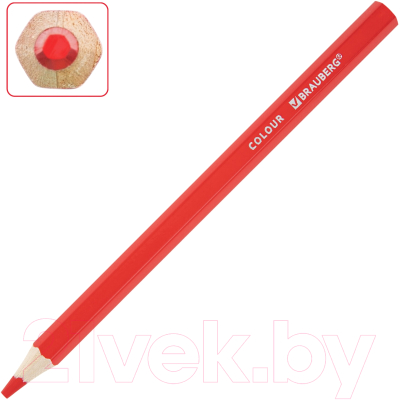 Набор цветных карандашей Brauberg Kids / 181878