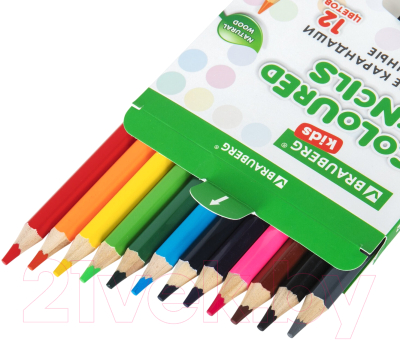 Набор цветных карандашей Brauberg Kids / 181878