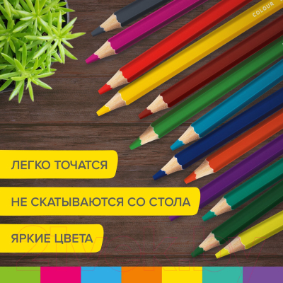 Набор цветных карандашей Brauberg Kids / 181878