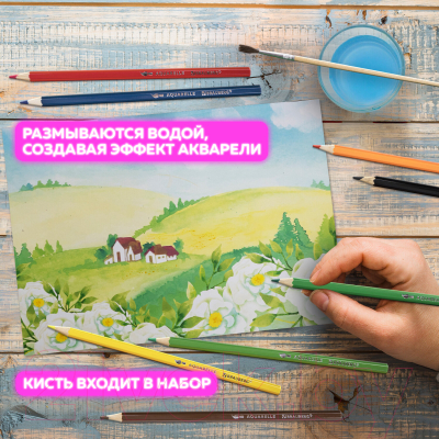 Набор цветных карандашей Brauberg 181849