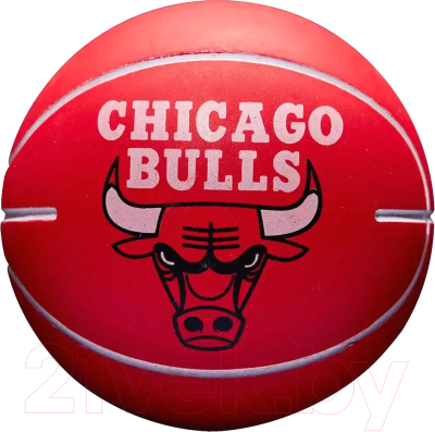 Баскетбольный мяч Wilson Nba Dribbler Chicago Bulls / WTB1100PDQCHI - фото