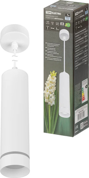 Потолочный светильник TDM SQ0356-0422