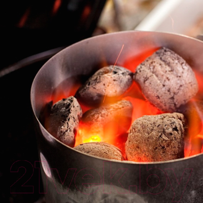 Стартер для розжига угля 800 Degrees Chimney Starter 800DGR-CSXL